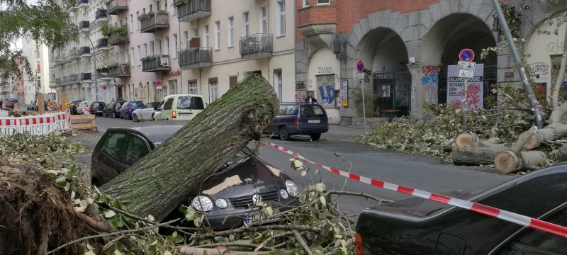 Schäden nach Sturmtief "Xavier"