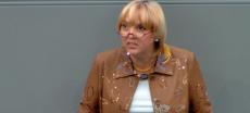 Grünen-Chefin Roth kündigt weitere bundesweite Atom-Proteste an
