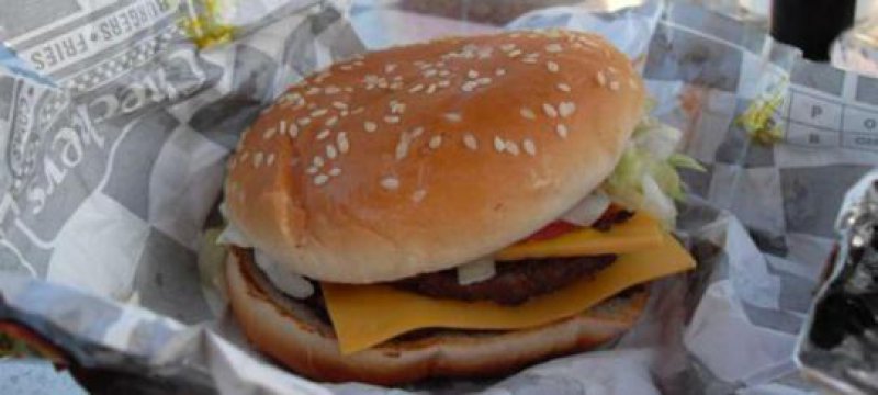 Forscher wollen &#8222;gezüchteten Hamburger entwickeln