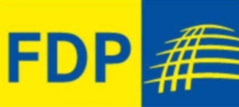FDP kritisiert EU-Kommissarin Reding