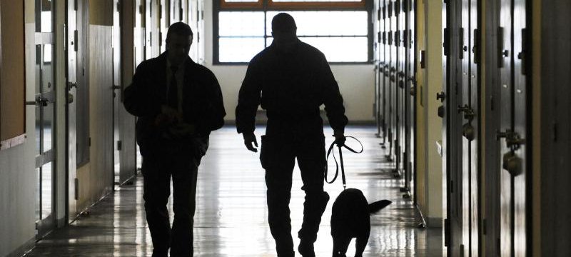 Drogenspürhunde im Gefängnis