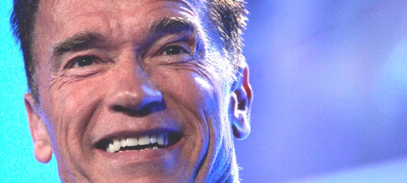 Arnold Schwarzenegger 2013