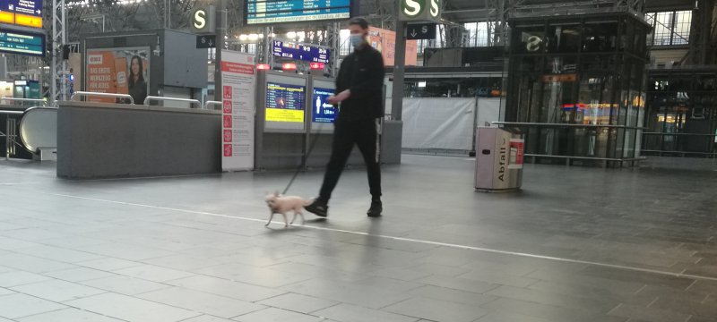 Mann mit Hund im Frankfurter Hauptbahnhof